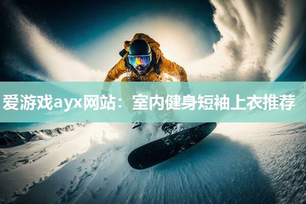 爱游戏ayx网站：室内健身短袖上衣推荐