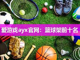 爱游戏ayx官网：篮球架前十名