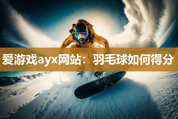 爱游戏ayx网站：羽毛球如何得分